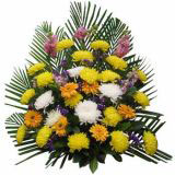 ٴʻԤ